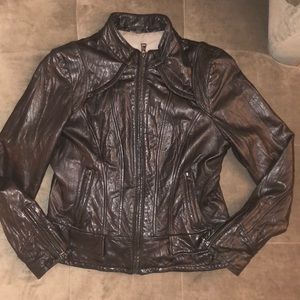 Genuine Lambskin Leather Jacket by Steve Madden
